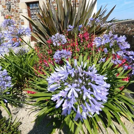 Bed & Breakfast La Vieux
