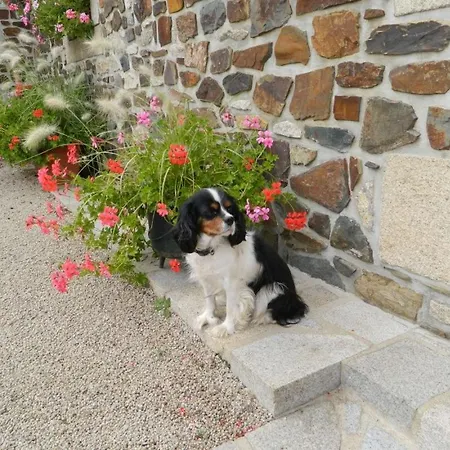Bed & Breakfast La Vieux Tregomeur